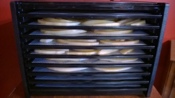 An almost full dehydrator of sweet, garden fresh cantaloupe!